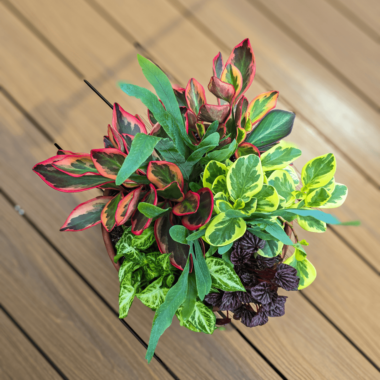 Foliage BowlIndoor Foliage Bowl