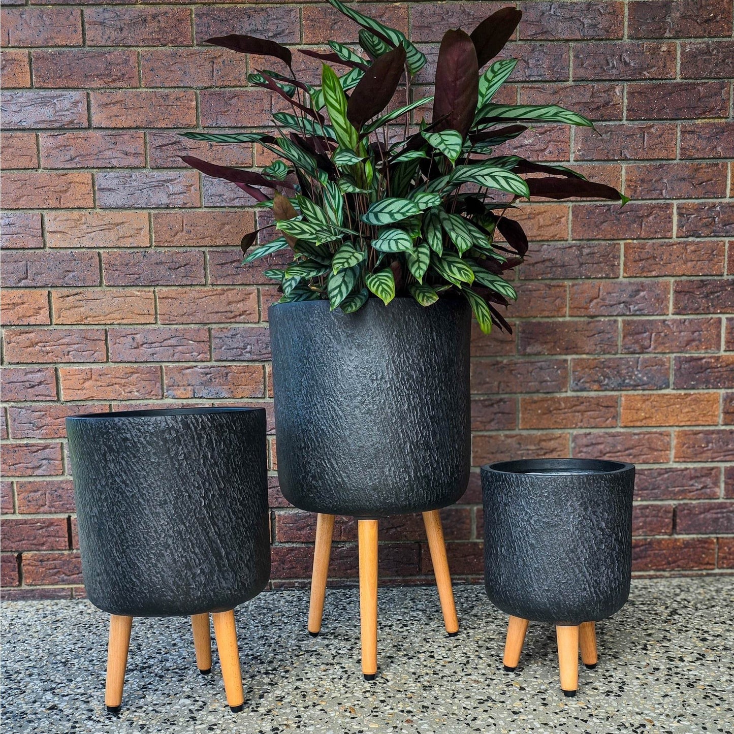 Northcote Pottery Slate Tripod Pot with indoor plant