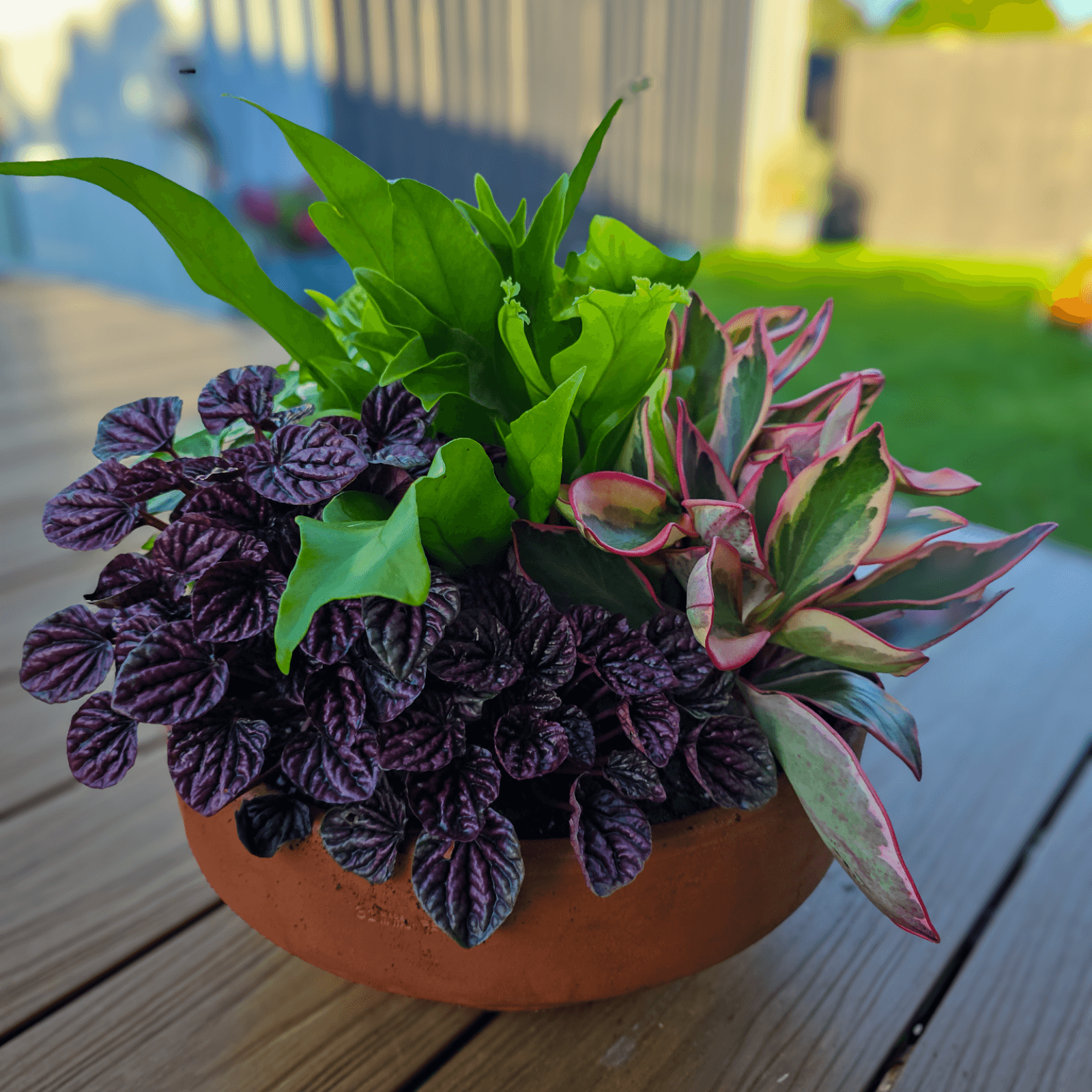 Foliage BowlIndoor Foliage Bowl