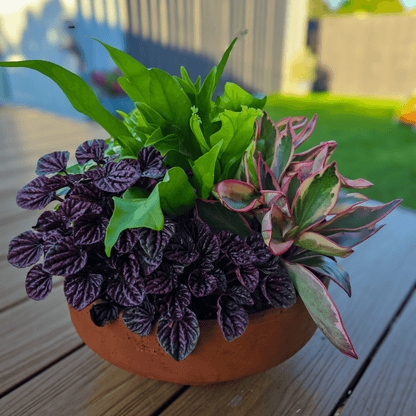 Foliage BowlIndoor Foliage Bowl