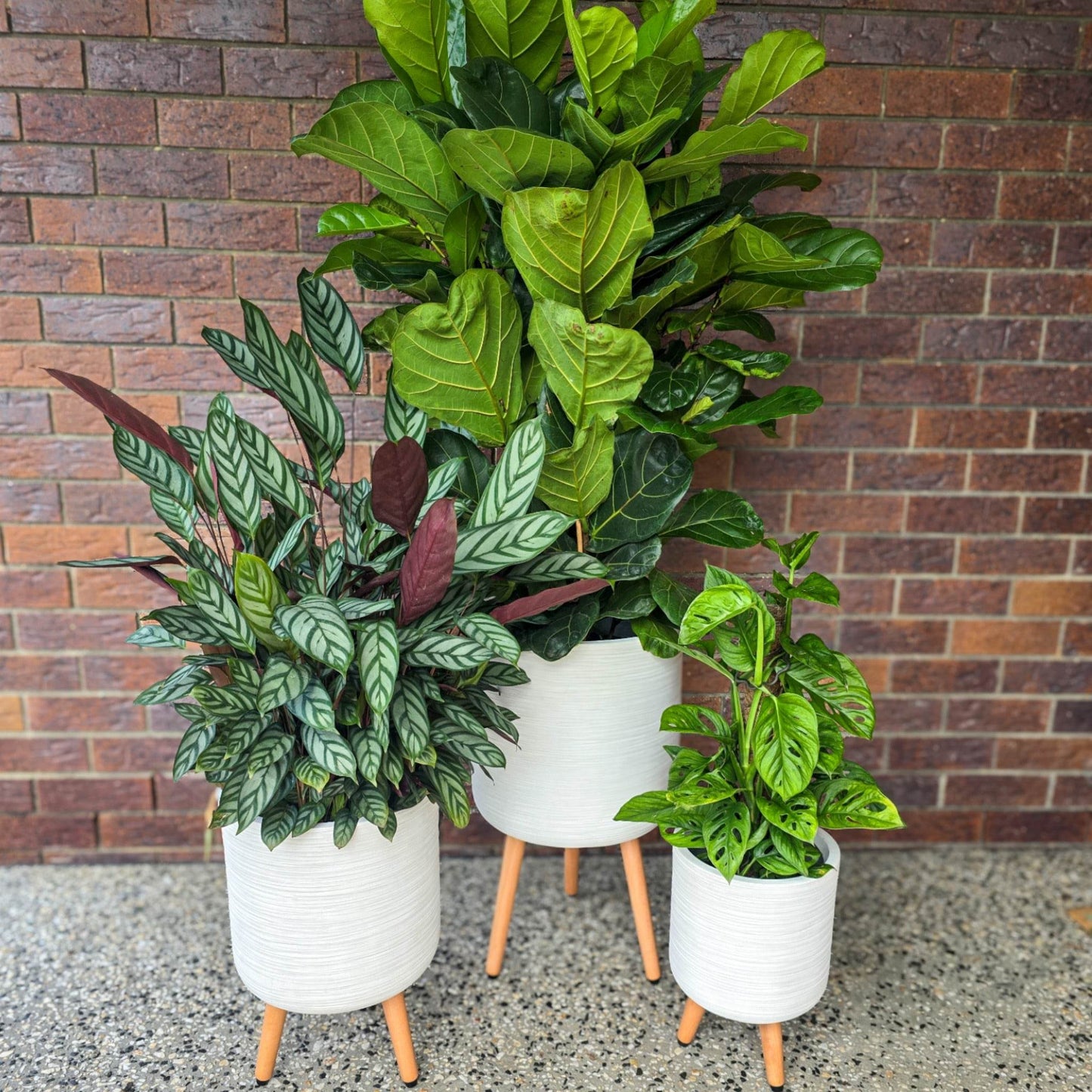 Sirroco Tripod Pot in white with indoor plant