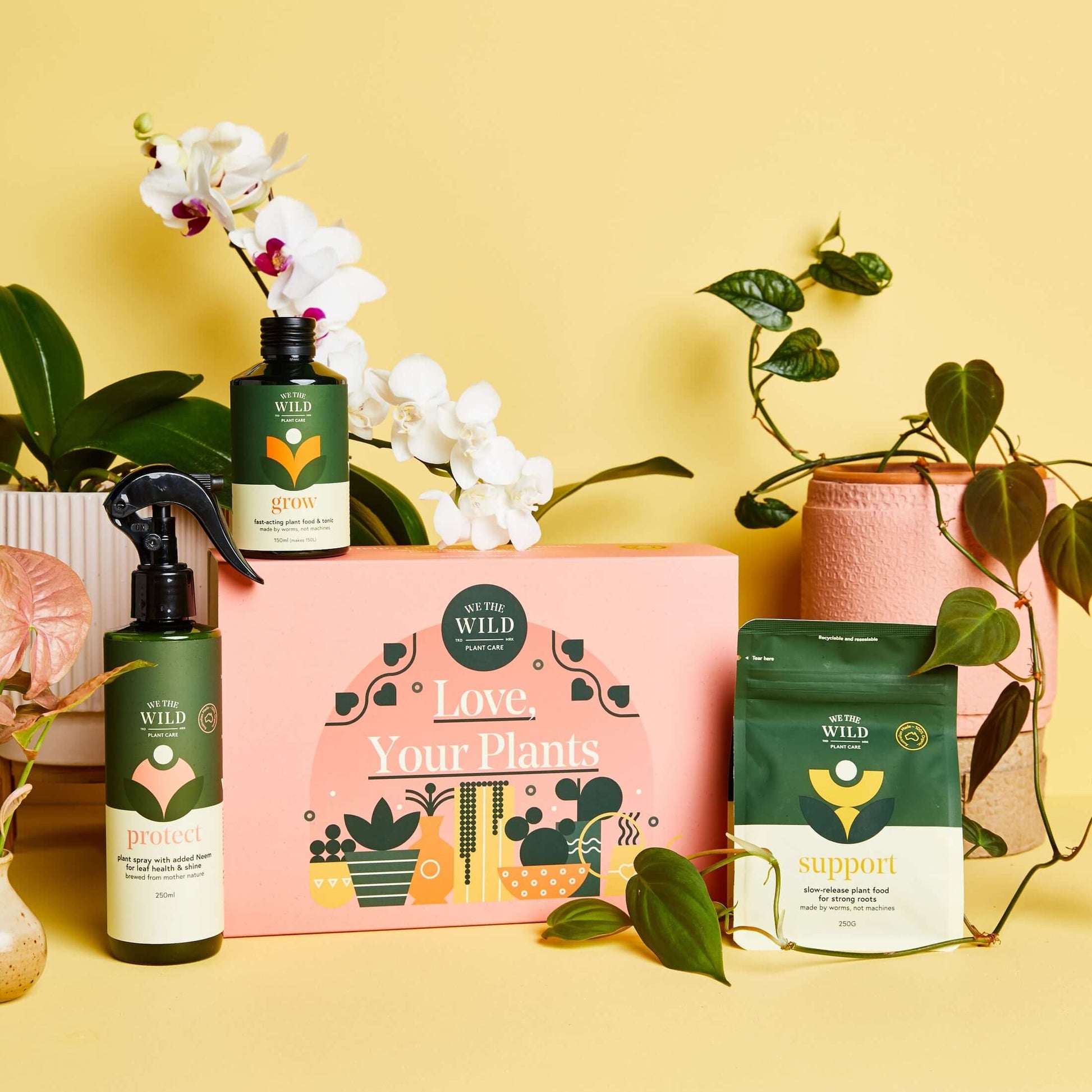 indoor plant essentials Essential Plant Care Kit