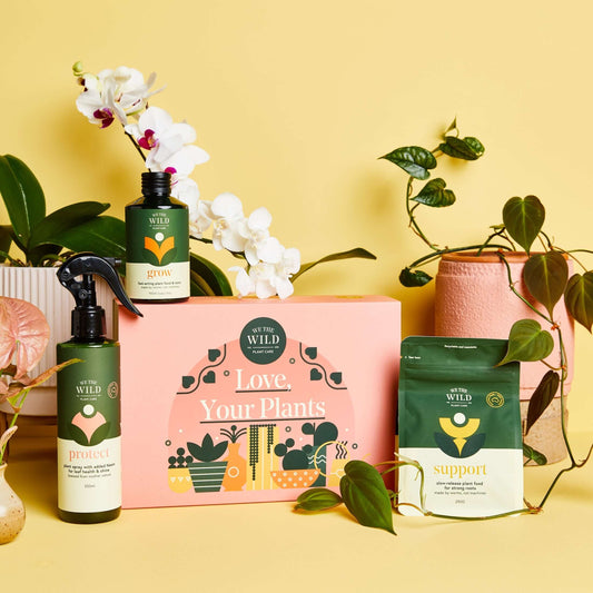 Essential Plant Care Kit