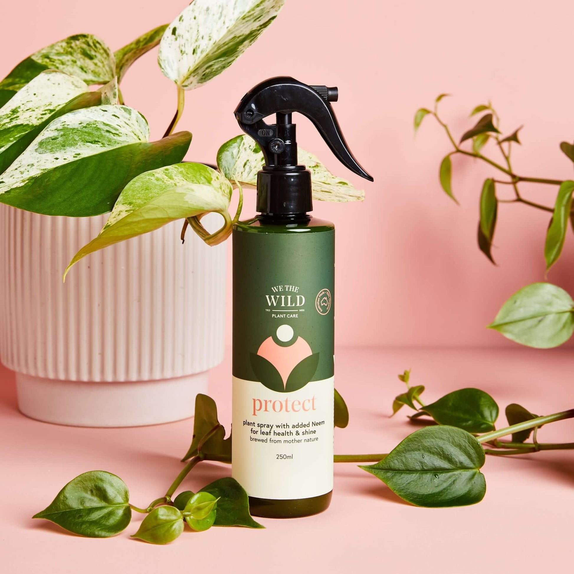Protect Organic Plant Spray with Neem Oil