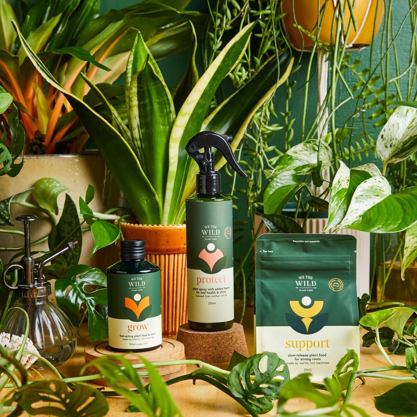 Essential Plant Care Kit