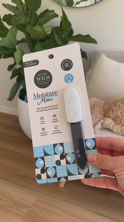 Moisture Meter